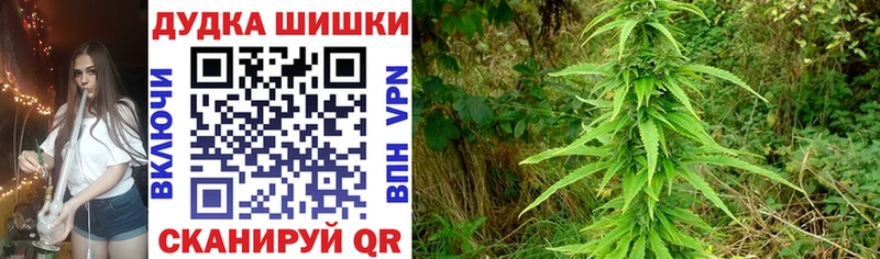 Виды наркотиков купить Богданович МАРИХУАНА  КОКАИН  ГАШ 