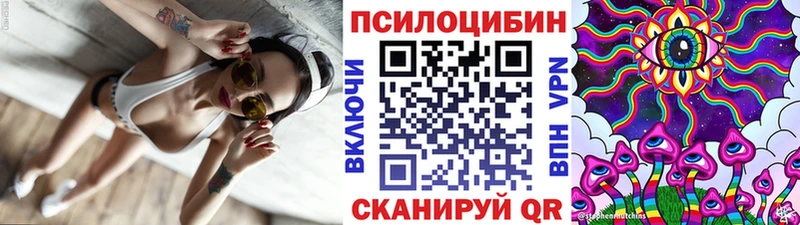 Галлюциногенные грибы мицелий  Богданович 
